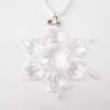 Picture of Swarovski Annual Edition Snowflake Ornament 2010 with Original Box & COA, No Dust Sleeve