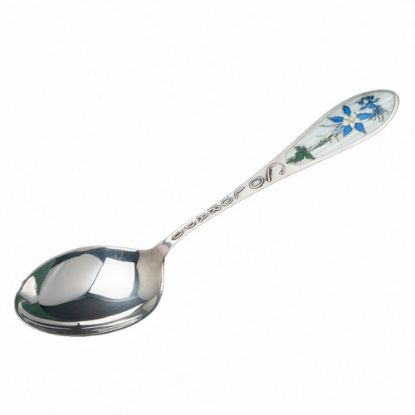 Picture of Vintage Sterling Silver & Enamel Colorado Souvenir Spoon