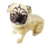 Picture of Kingspoint Designs Passionate Pug Trinket Box with Matching Necklace