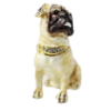 Picture of Kingspoint Designs Passionate Pug Trinket Box with Matching Necklace