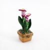 Picture of Limoges Porcelain Potted Pink Calla Lilies Trinket Box 