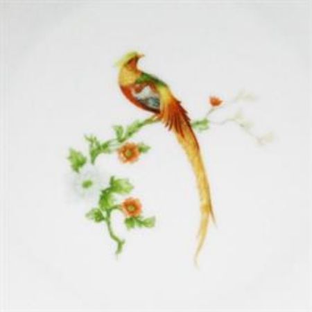 Picture for pattern Bird of Paradise