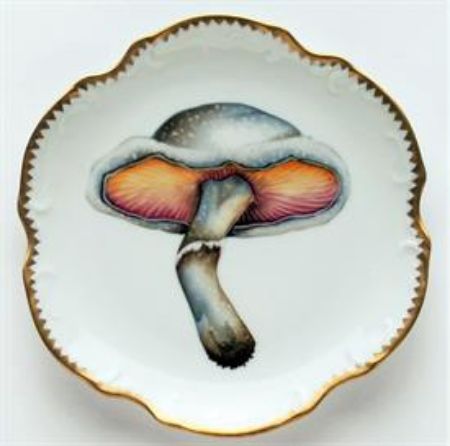 Picture for pattern Forest Mushrooms