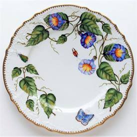 Picture for category Morning Glory