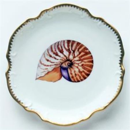 Picture for pattern Seascape, Shell
