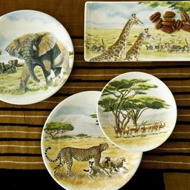 Picture for category Safari