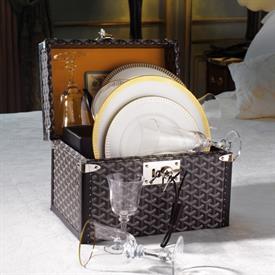 Picture for category Plumes Platine