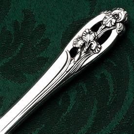 Picture for category Silver Iris