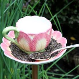 Picture for category Tulips