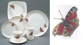 Picture for category Wind & Wings, Buckeye