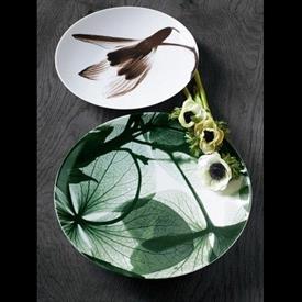 Picture for category Contre Jour