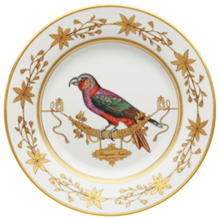 Picture for pattern Voliere Perroquet Nestor