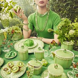 Picture for category Swarovski Signum, Fern