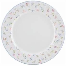 Picture for category Forget Me Not