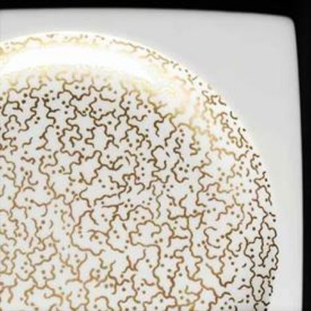 Picture for pattern Plato Gold, Coupe